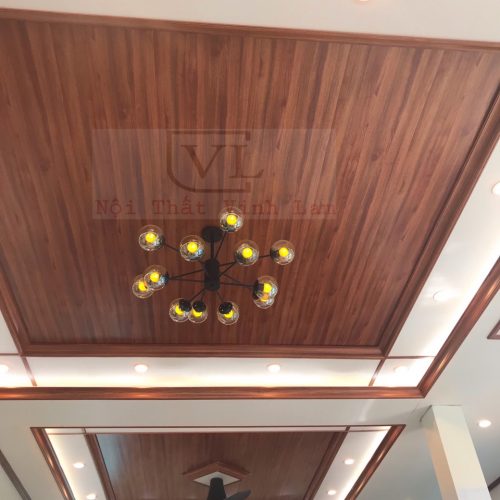 Mẫu Tấm Ốp Trần 015