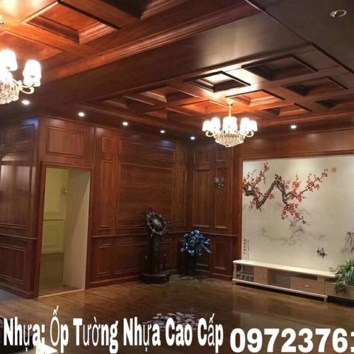 Thi Công Ốp Trần - Mẫu 17
