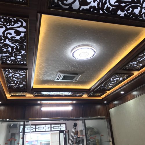 Mẫu Tấm Ốp Trần 021