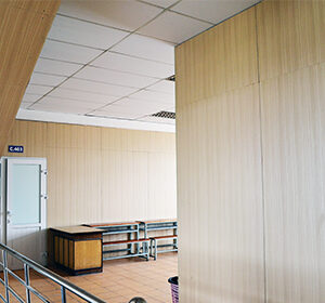 Mẫu Tấm Ốp Tường 002